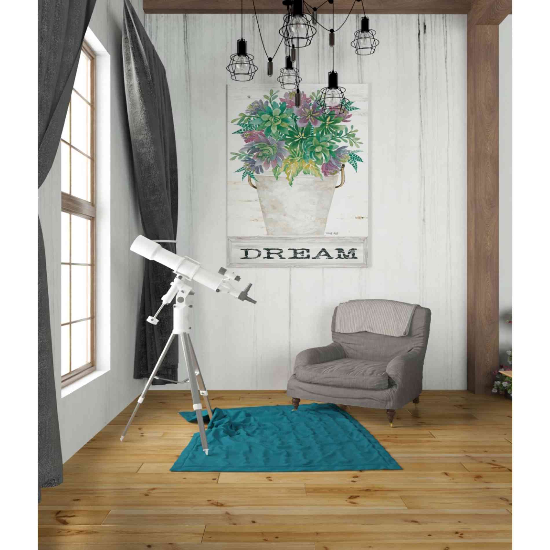 'Dream Succulents' by Cindy Jacobs, Giclee Canvas Wall Art