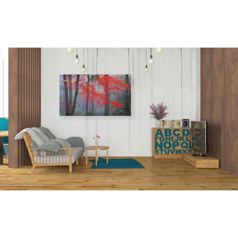 Image of 'Splash of Red' by Patrick Zephyr, Canvas Wall Art,40 x 26