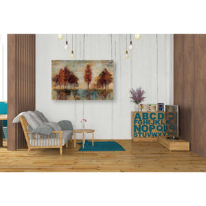 "Field and Forest" by Silvia Vassileva, Canvas Wall Art,40 x 26