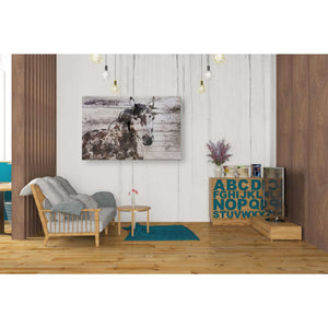 'Poly 1' by Irena Orlov, Canvas Wall Art,40 x 26