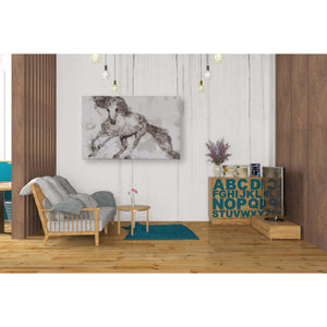 'Alydar Horse' by Irena Orlov, Canvas Wall Art,40 x 26