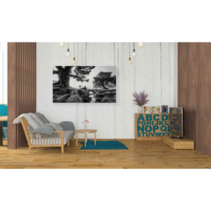 'Black & White Fanal' by Martin Podt, Canvas Wall Art,40 x 26