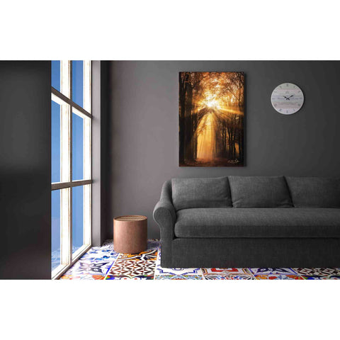 Image of 'Sunburst' by Martin Podt, Canvas Wall Art,26 x 40
