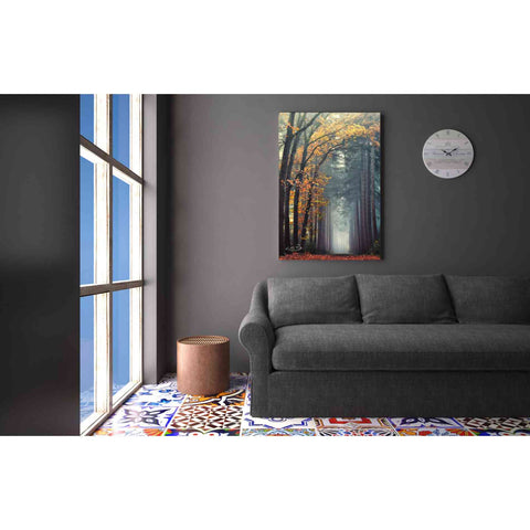 Image of 'To Another World' by Martin Podt, Canvas Wall Art,26 x 40