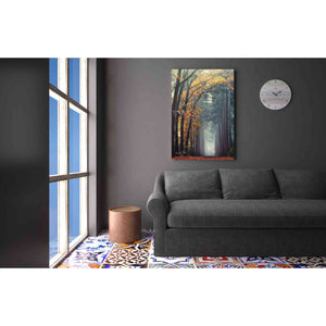 'To Another World' by Martin Podt, Canvas Wall Art,26 x 40