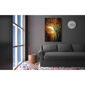 'Look Up Autumn' by Martin Podt, Canvas Wall Art,26 x 40
