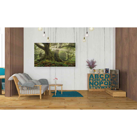 Image of 'One-Two Tree' by Martin Podt, Canvas Wall Art,40 x 26