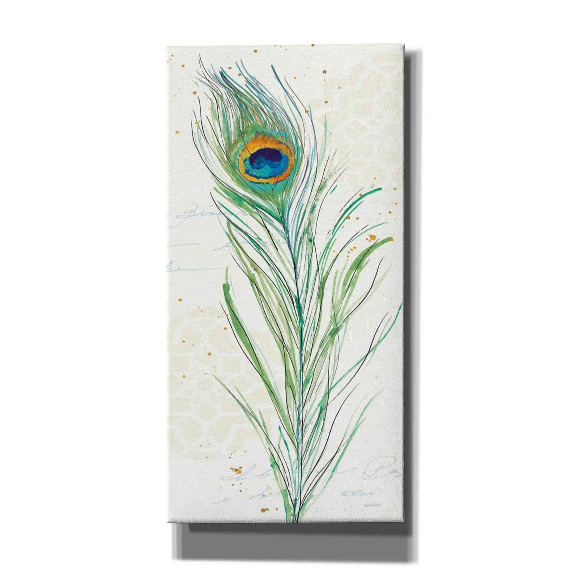'Peacock Garden VI' by Anne Tavoletti, Canvas Wall Art,30 x 60