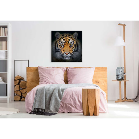 Image of 'Wild Side' Giclee Canvas Wall Art