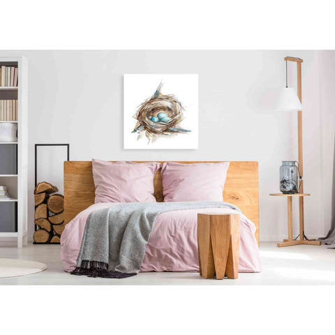 Image of 'Bird Nest Study II' by Ethan Harper, Canvas Wall Art,37 x 37