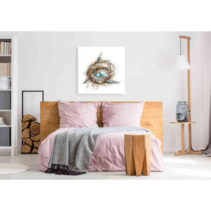 'Bird Nest Study II' by Ethan Harper, Canvas Wall Art,37 x 37