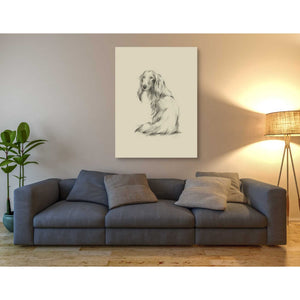 'Puppy Dog Eyes II' by Ethan Harper Canvas Wall Art,40 x 54