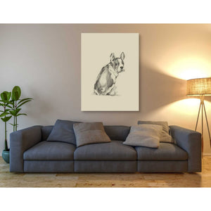 'Puppy Dog Eyes IV' by Ethan Harper Canvas Wall Art,40 x 54