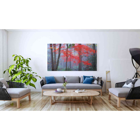 Image of 'Splash of Red' by Patrick Zephyr, Canvas Wall Art,60 x 40
