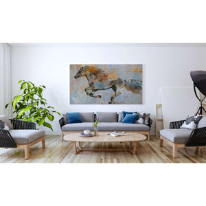 'Rusty Horse 2' by Irena Orlov, Canvas Wall Art,60 x 40