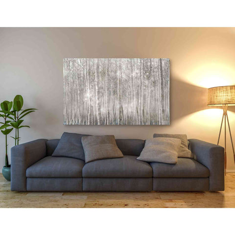 Image of 'Birch Trees' by Bluebird Barn, Canvas Wall Art,60 x 40
