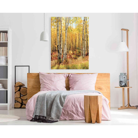 Image of 'Solid Gold II' by Lori Deiter, Canvas Wall Art,40 x 60