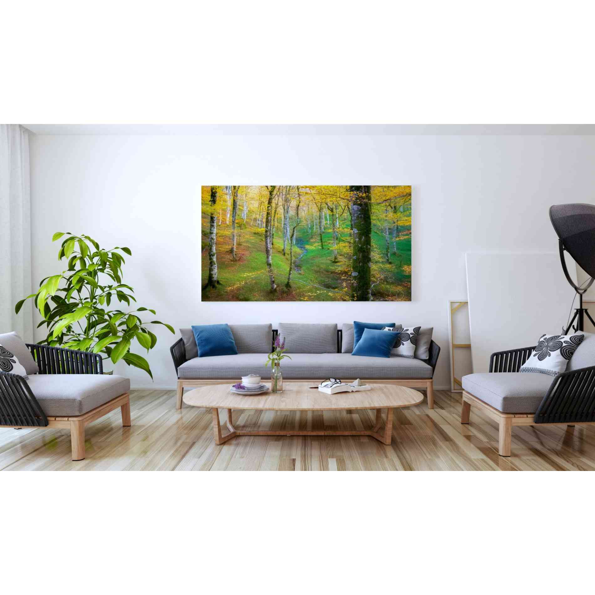 'Dream of Birches' by Lars van de Goor, Giclee Canvas Wall Art