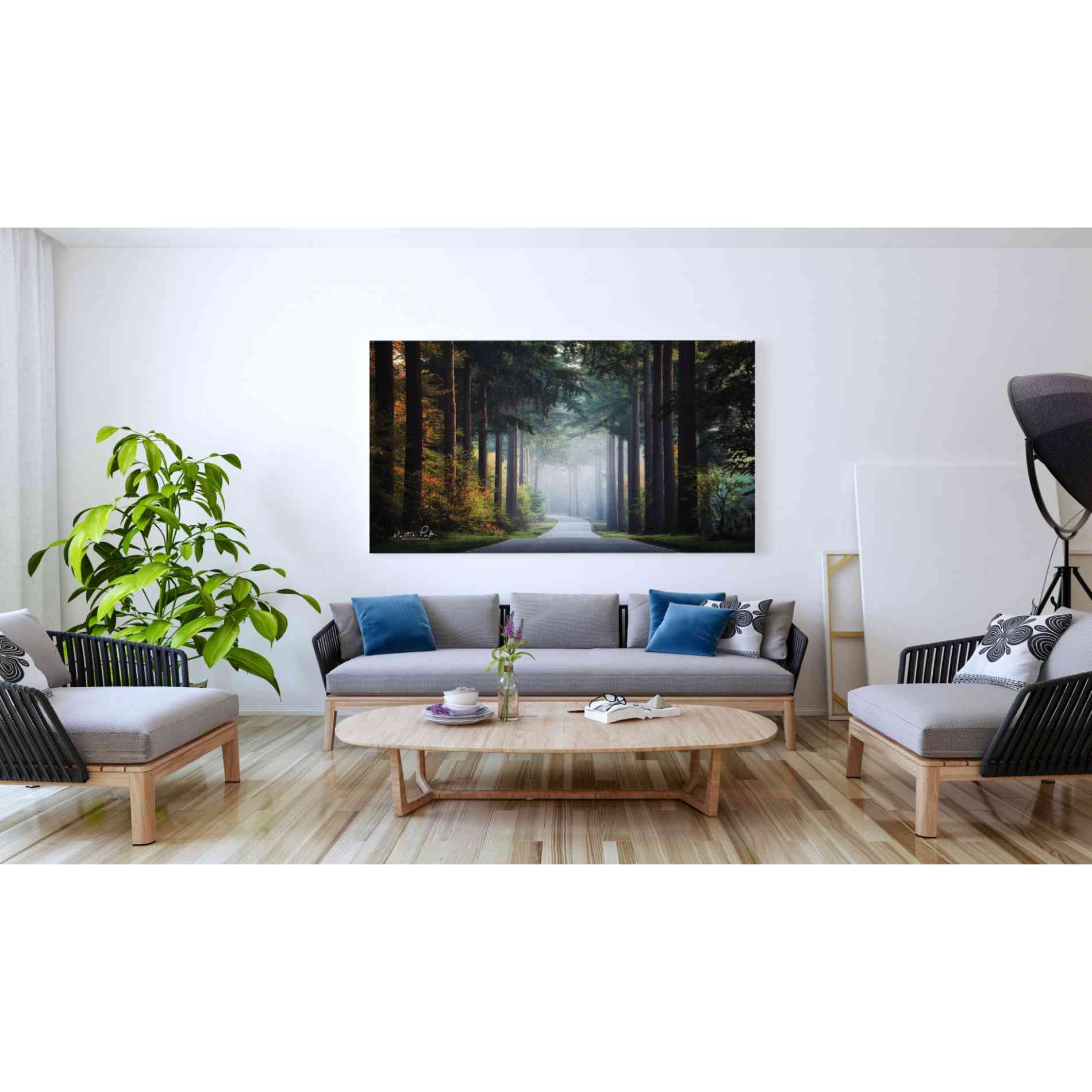 'Mysterious Roads' by Martin Podt, Canvas Wall Art,60 x 40