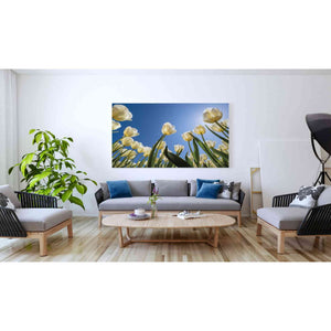 'Look Up in White' by Martin Podt, Canvas Wall Art,60 x 40