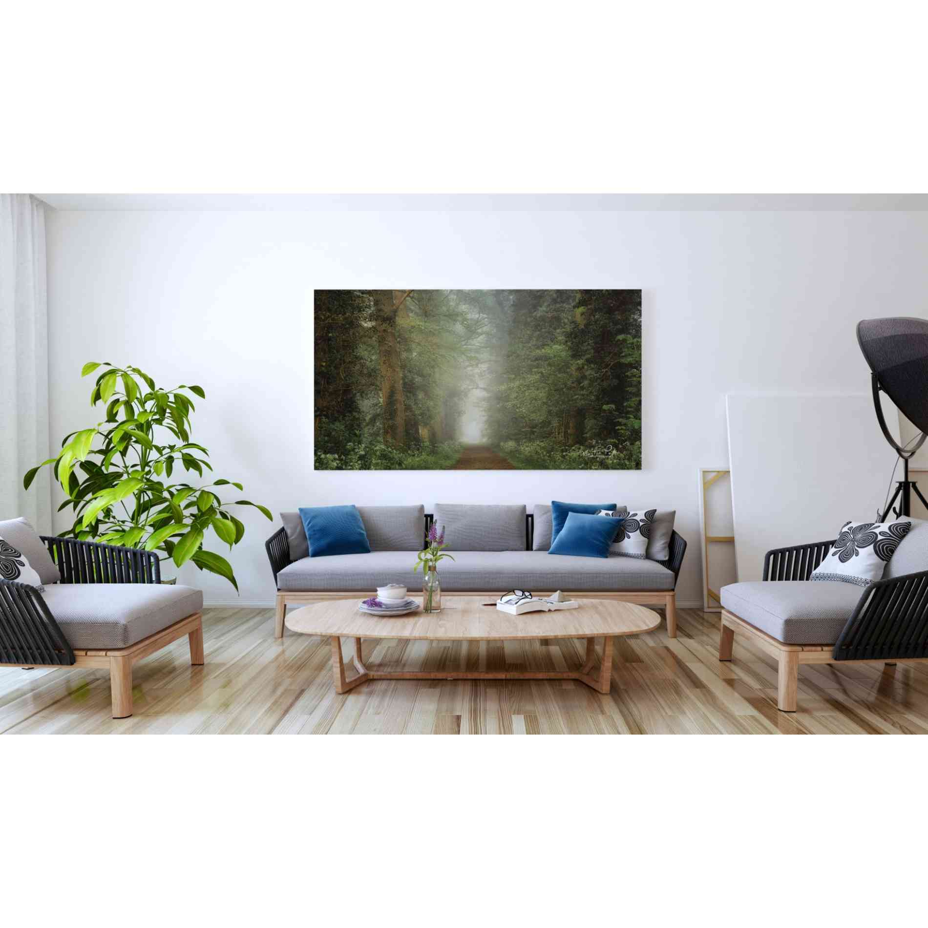 'Misty Spring Road' by Martin Podt, Canvas Wall Art,60 x 40