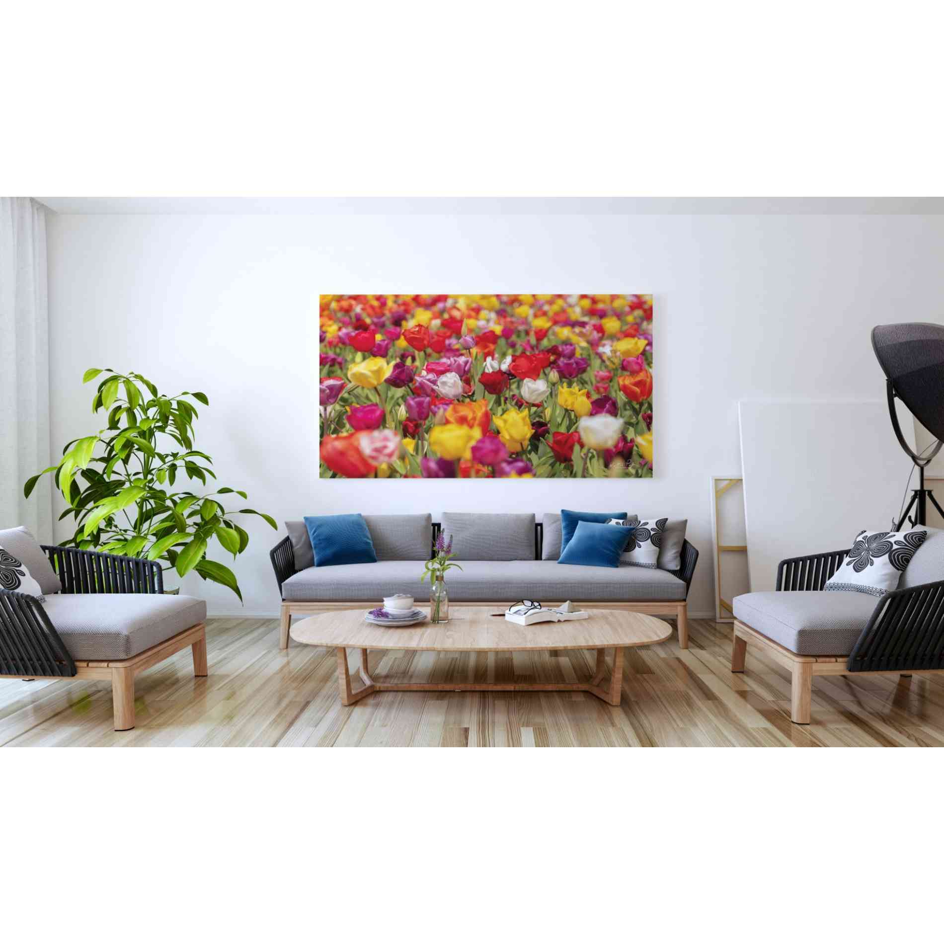 'Colorful Bouquet' by Martin Podt, Canvas Wall Art,60 x 40
