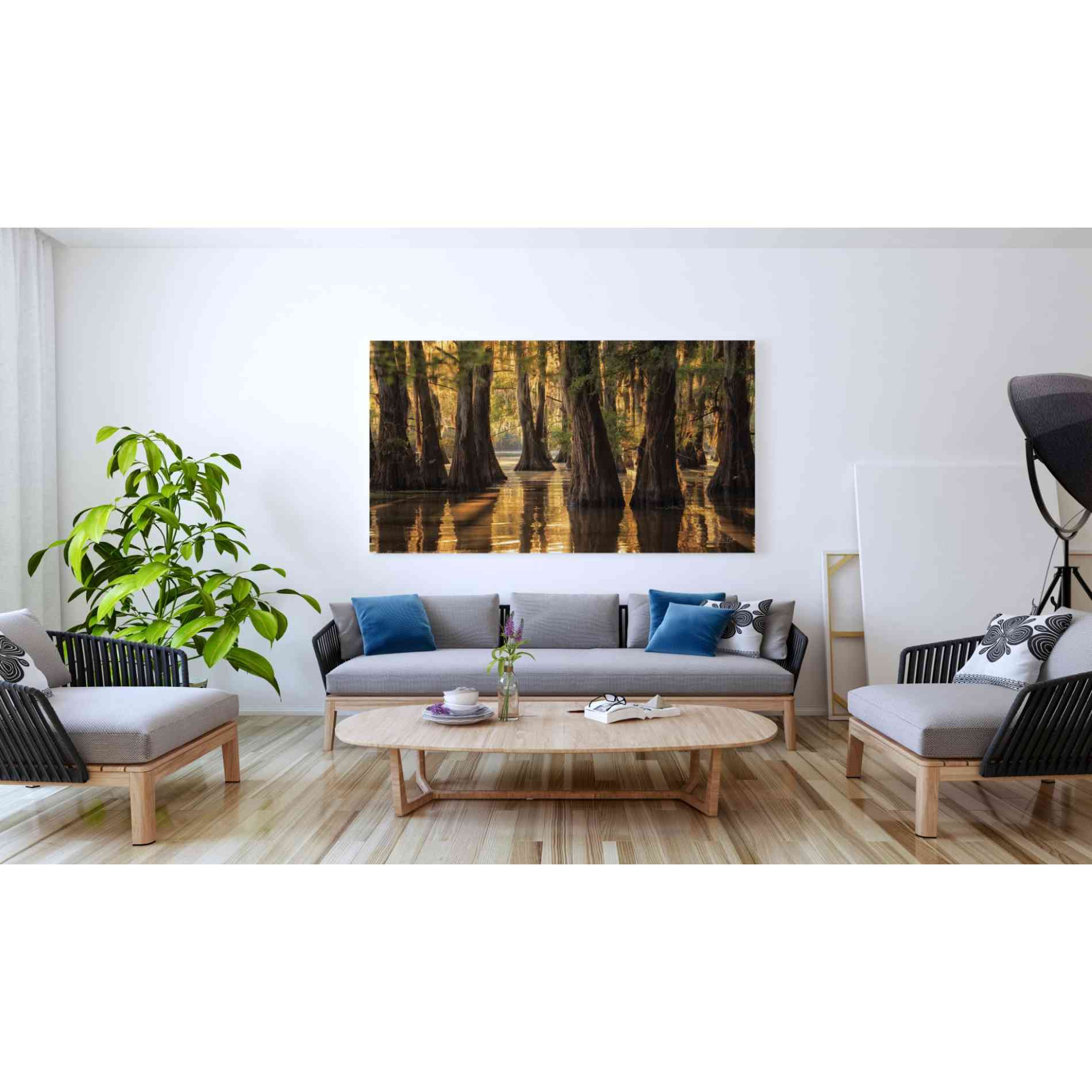 'Natural Beauty' by Martin Podt, Canvas Wall Art,60 x 40