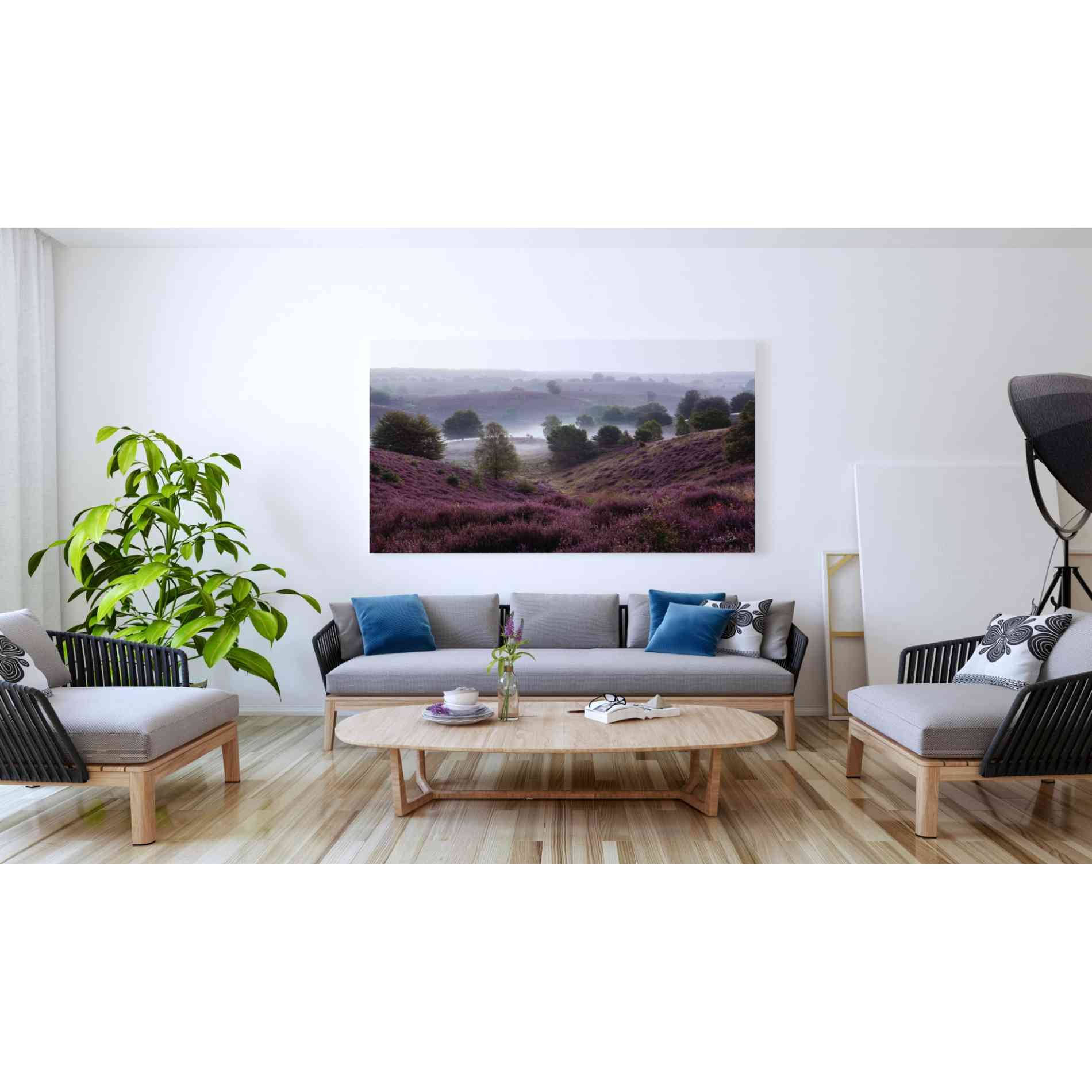 'Oh Yeah' by Martin Podt, Canvas Wall Art,60 x 40
