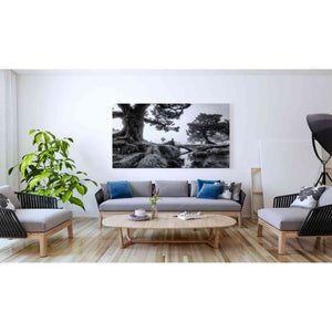 'Black & White Fanal' by Martin Podt, Canvas Wall Art,60 x 40