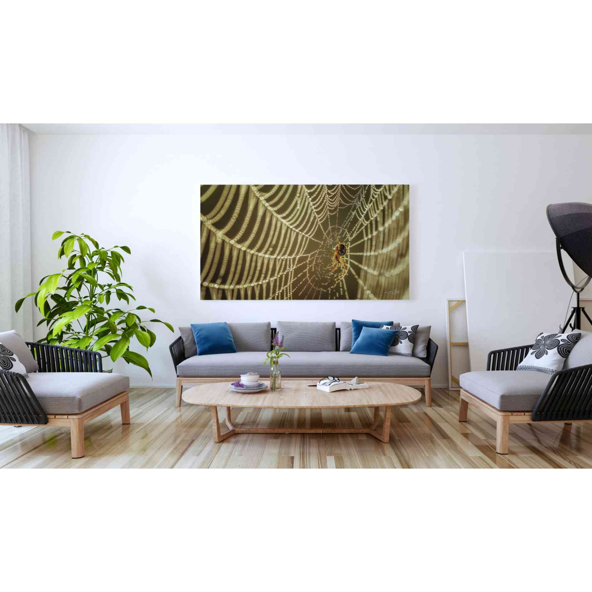 'The Spider and Her Jewels' by Martin Podt, Canvas Wall Art,60 x 40