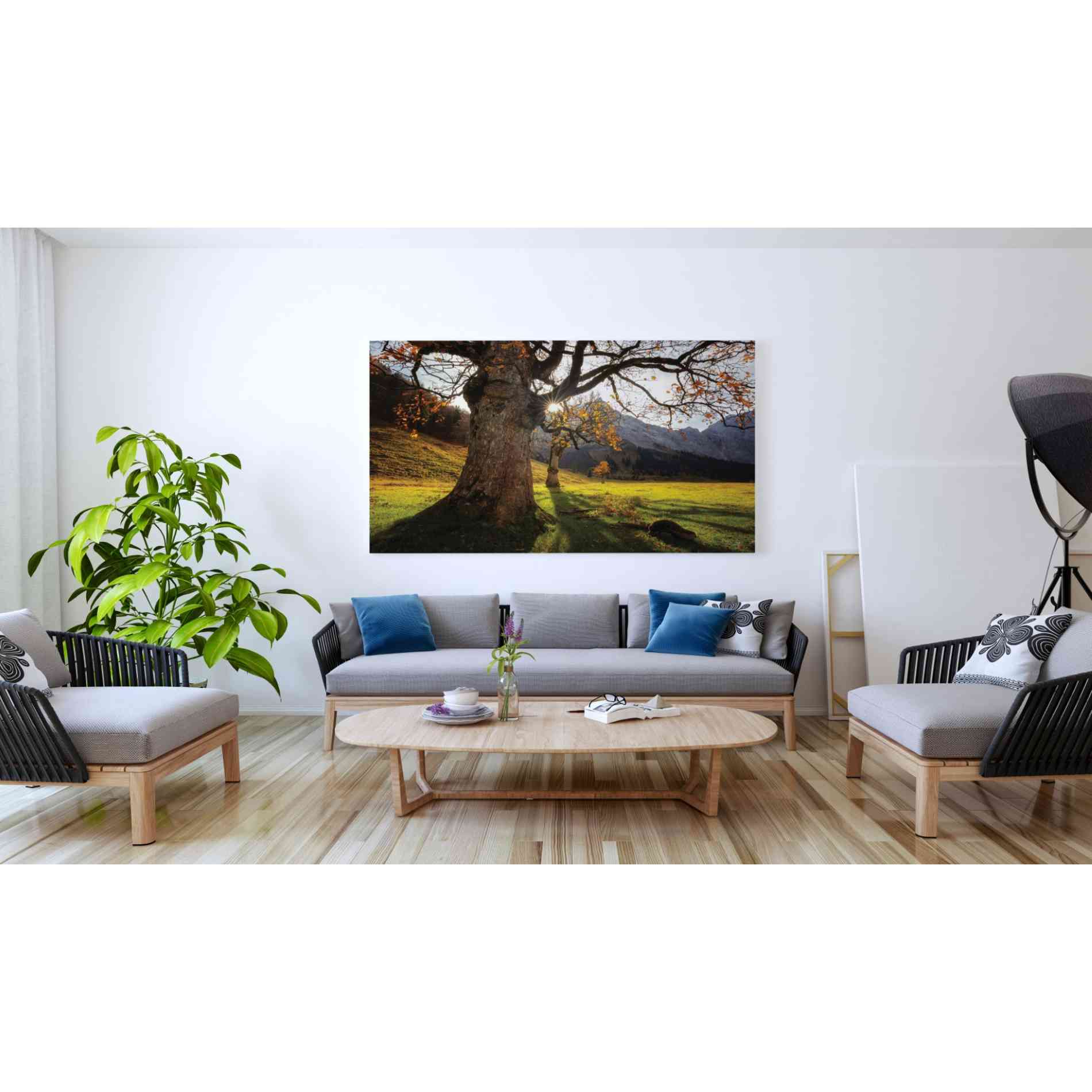 'The Star' by Martin Podt, Canvas Wall Art,60 x 40