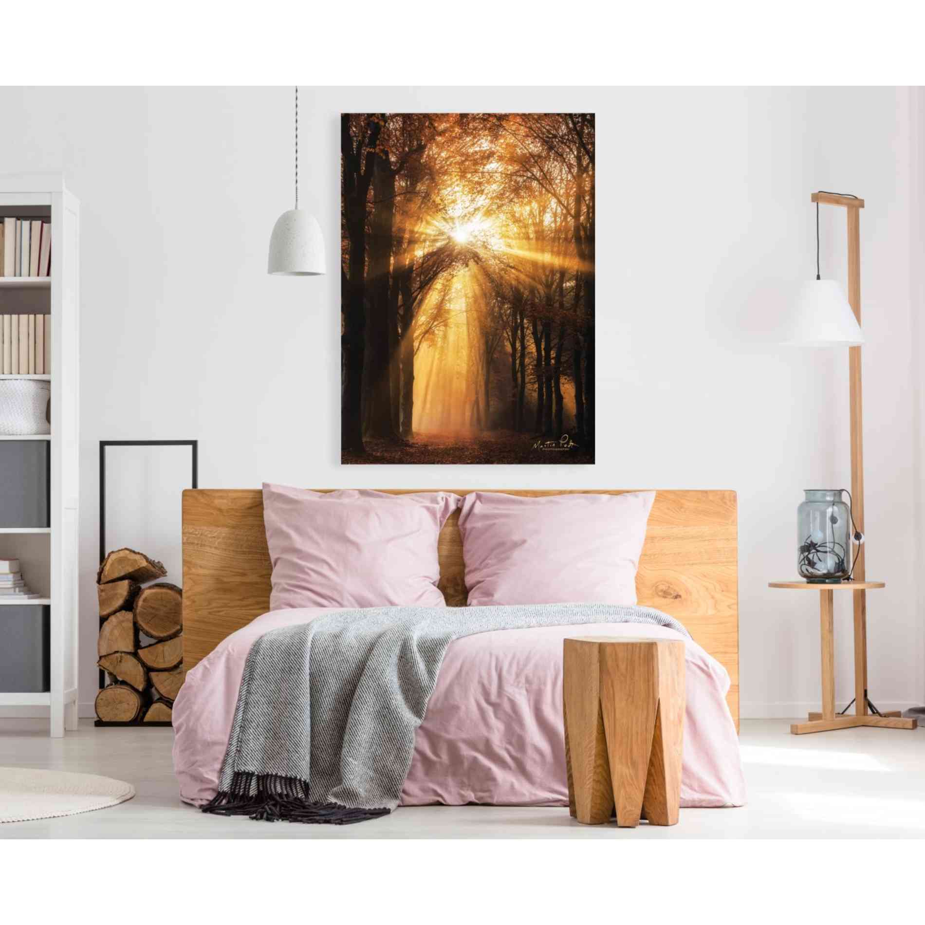 'Sunburst' by Martin Podt, Canvas Wall Art,40 x 60