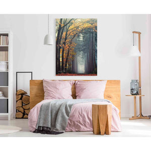 'To Another World' by Martin Podt, Canvas Wall Art,40 x 60