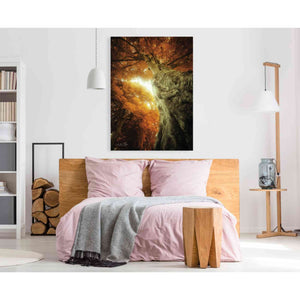 'Look Up Autumn' by Martin Podt, Canvas Wall Art,40 x 60