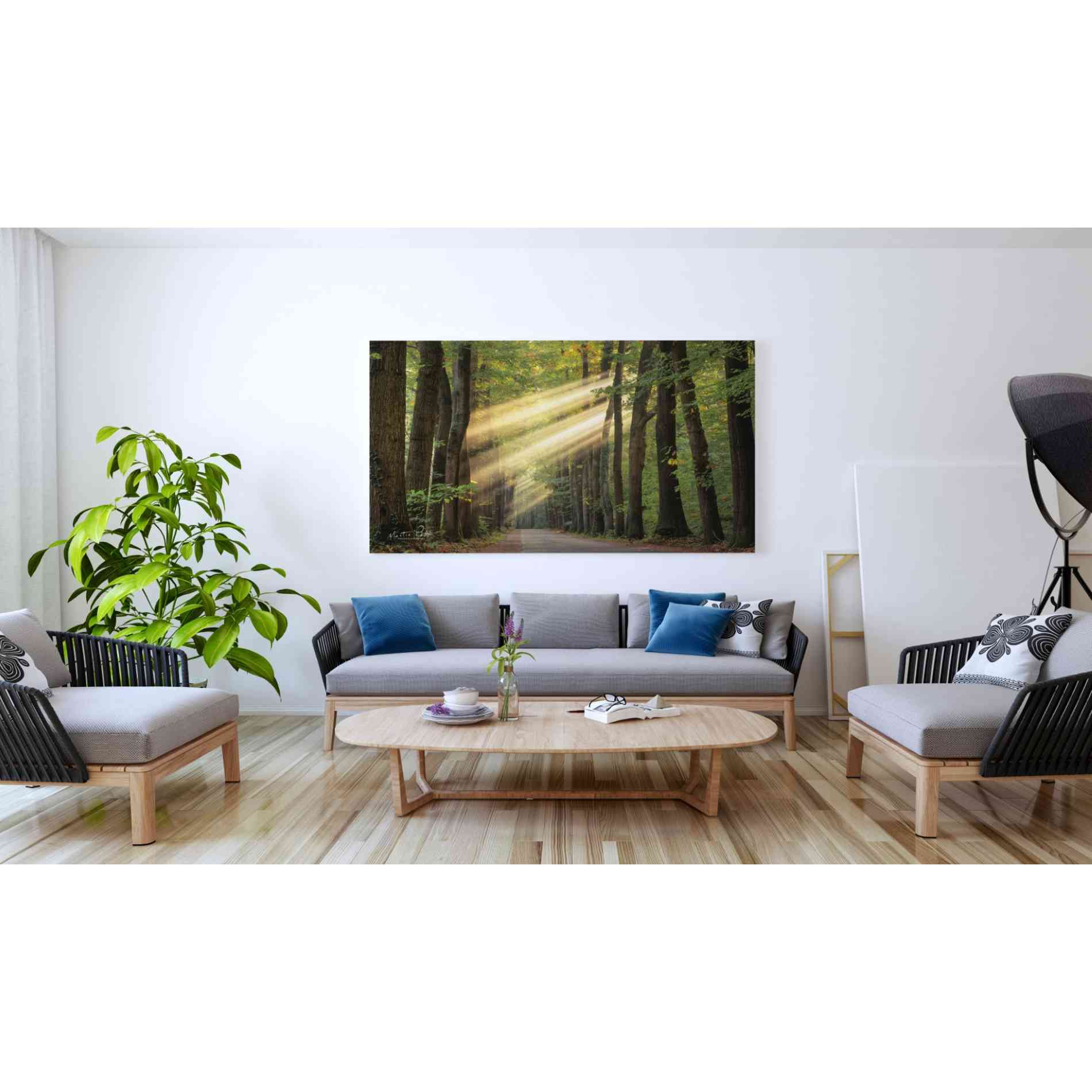 'Rayzor Light' by Martin Podt, Canvas Wall Art,60 x 40