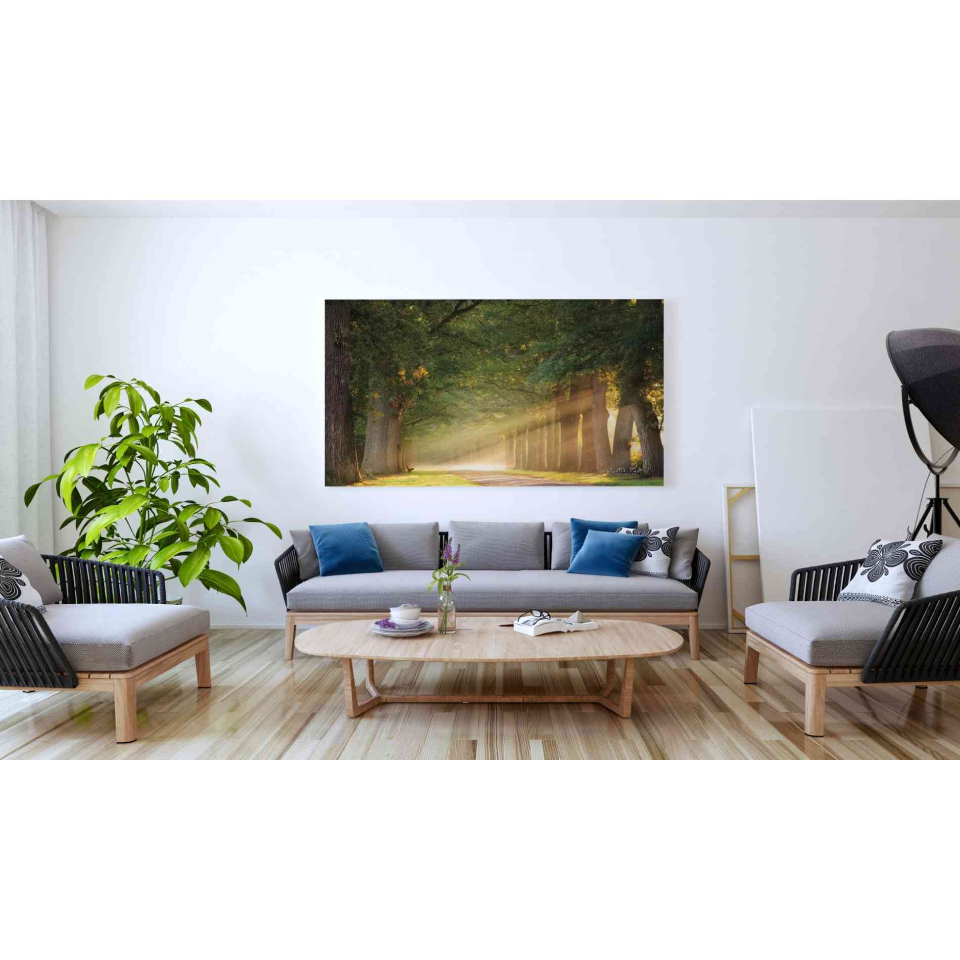 'Perfect Place to Sit' by Martin Podt, Canvas Wall Art,60 x 40
