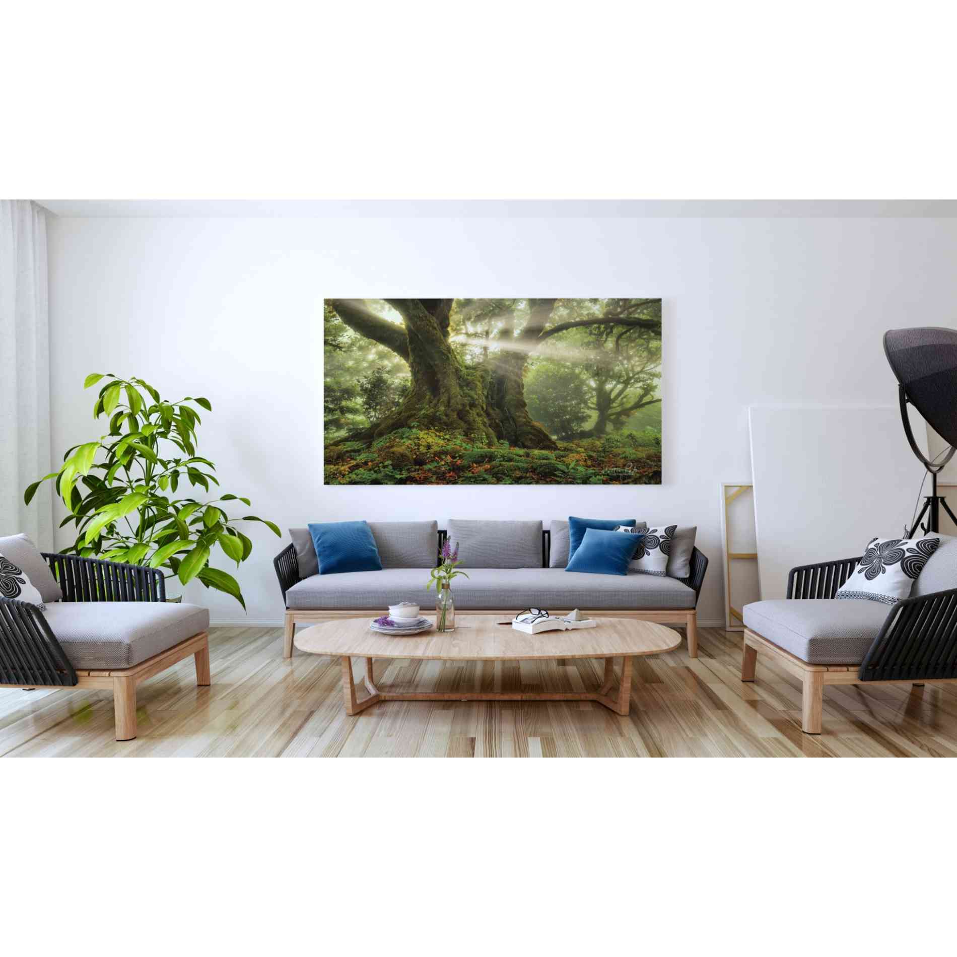 'One-Two Tree' by Martin Podt, Canvas Wall Art,60 x 40