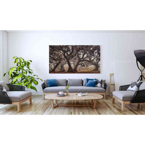 'The Hidden Truth' by Martin Podt, Canvas Wall Art,60 x 40
