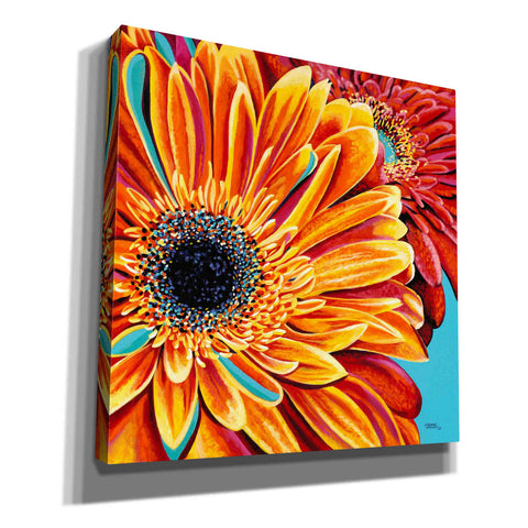 Image of 'Color Bursts II' by Carolee Vitaletti, Giclee Canvas Wall Art