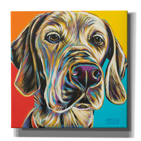 Image of 'Canine Buddy II' by Carolee Vitaletti, Giclee Canvas Wall Art