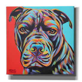 'Canine Buddy III' by Carolee Vitaletti, Giclee Canvas Wall Art