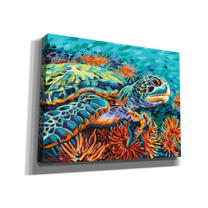 'Sea Sweetheart I' by Carolee Vitaletti, Giclee Canvas Wall Art