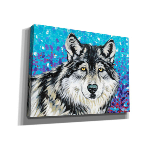 Image of 'Grey Wolf II' by Carolee Vitaletti, Giclee Canvas Wall Art