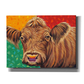 'Colorful Country Cows II' by Carolee Vitaletti, Giclee Canvas Wall Art