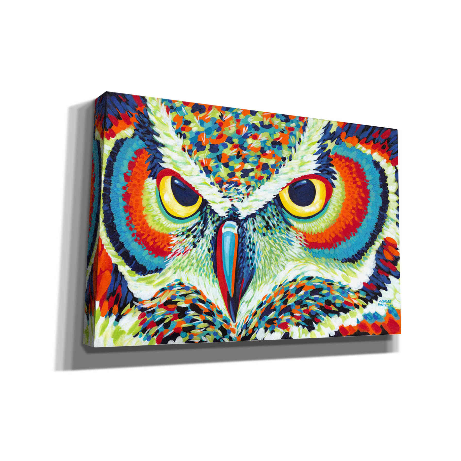 'Bright Eyes' by Carolee Vitaletti, Giclee Canvas Wall Art