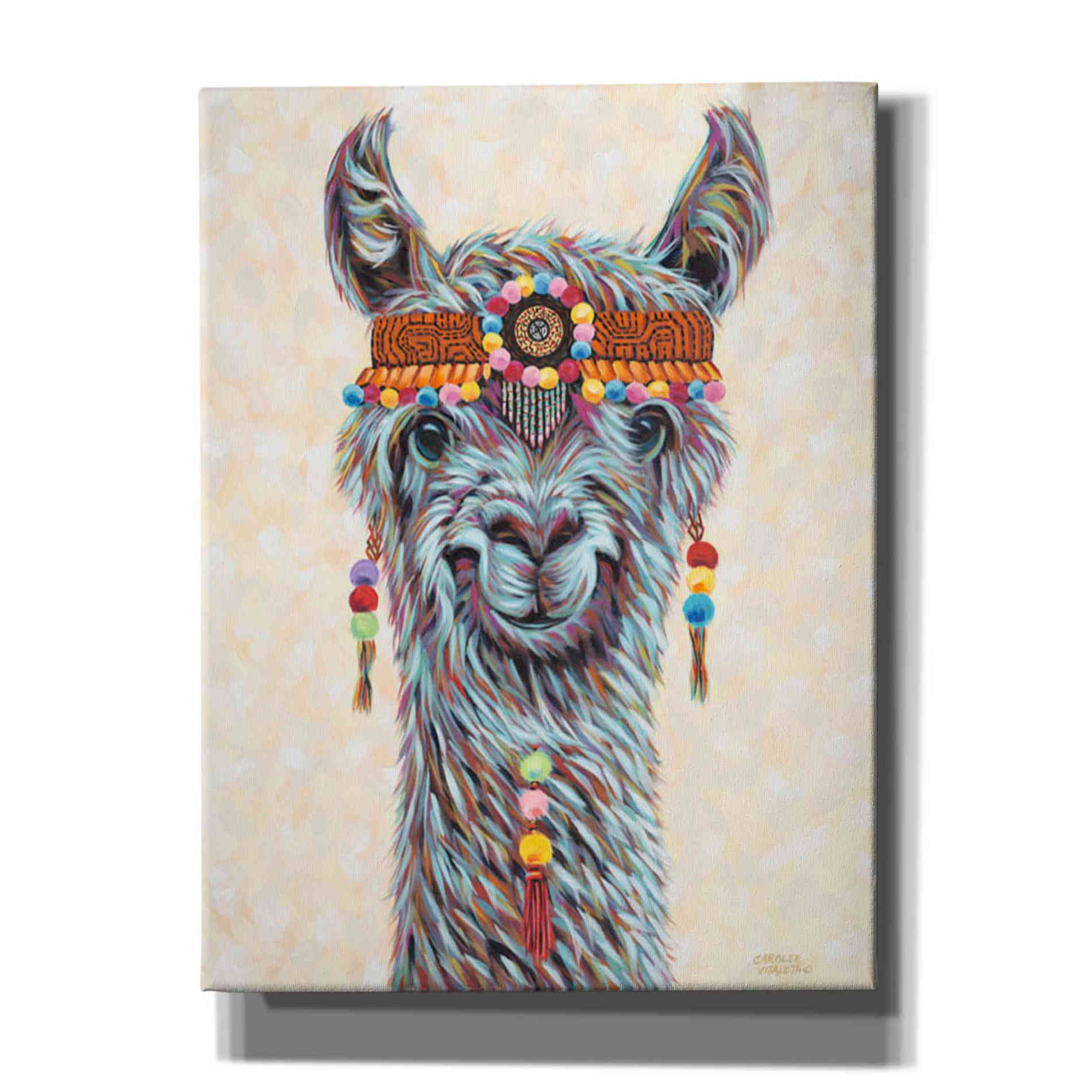 'Hippie Llama I' by Carolee Vitaletti, Giclee Canvas Wall Art