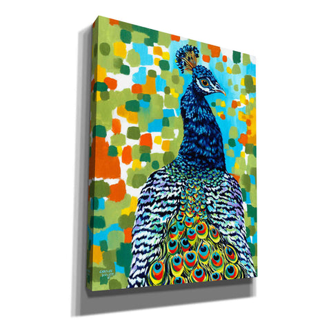 Image of 'Plumed Peacock II' by Carolee Vitaletti, Giclee Canvas Wall Art