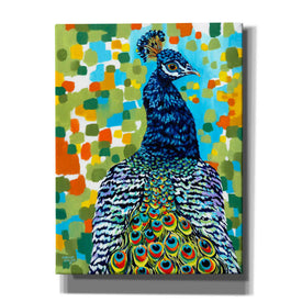 'Plumed Peacock II' by Carolee Vitaletti, Giclee Canvas Wall Art