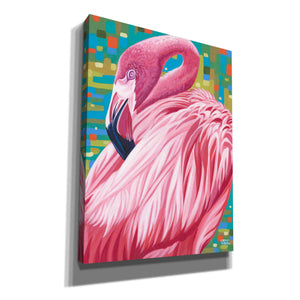 'Fabulous Flamingos II' by Carolee Vitaletti, Giclee Canvas Wall Art