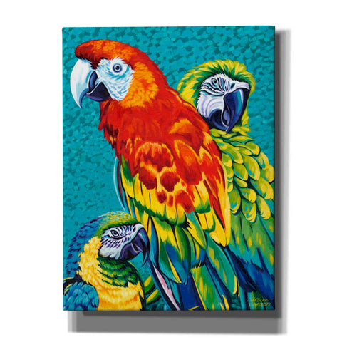 Image of 'Birds in Paradise III' by Carolee Vitaletti Giclee Canvas Wall Art